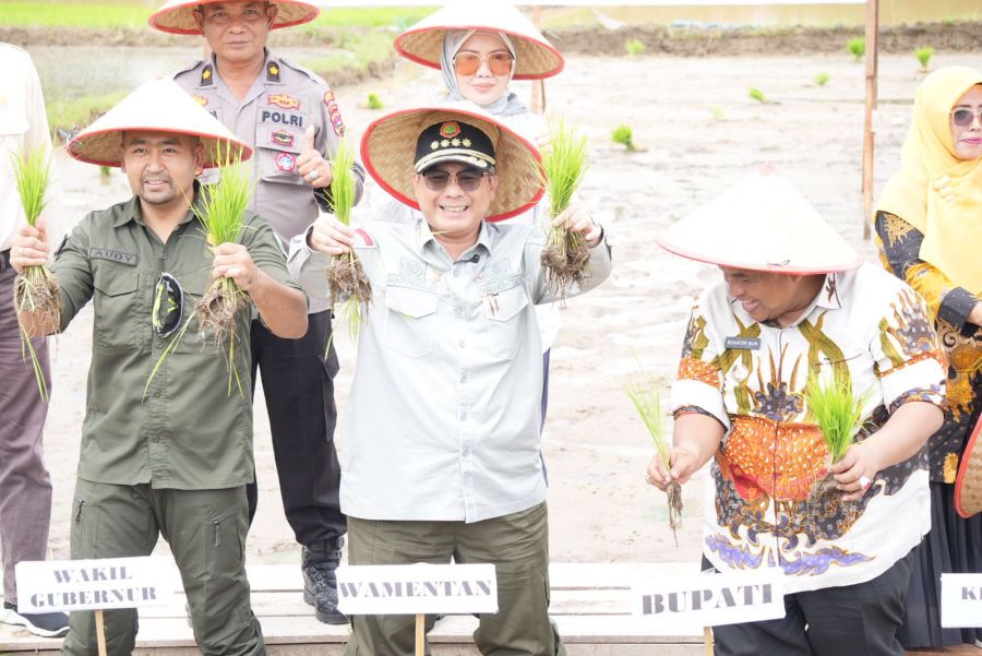 Perkuat Produksi dan Hilirisasi Pertanian Sumbar, Wamentan Serahkan Bantuan di Padang Pariaman