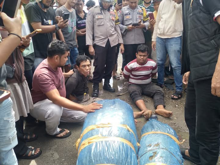 Petugas Gabungan Polda Sumbar Berhasil Tangkap Kurir Narkoba 26 Kilogram Ganja Kering di Pasbar