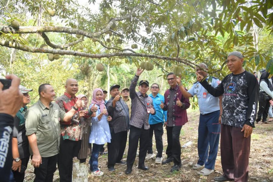 Pj Wako Sawahlunto Tinjau & Berdiskusi dengan Kelompok Tani di kawasan Puncak Polan