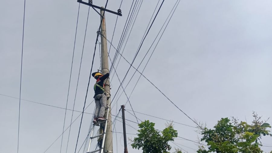 PLN Icon Plus Lakukan Pemeliharaan Jaringan Fiber Optik di Kabupaten Kampar