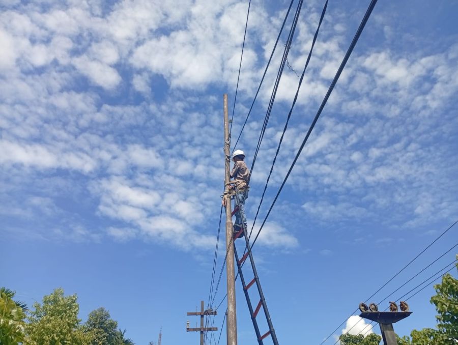 PLN Icon Plus Lakukan Pemeliharaan Preventif Jaringan di Limau Manis Selatan