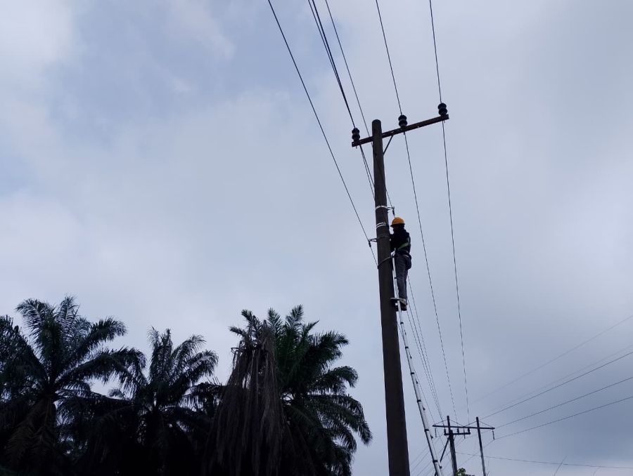 PLN Icon Plus Lakukan Pemeliharaan Jaringan Fiber Optik di Bengkalis