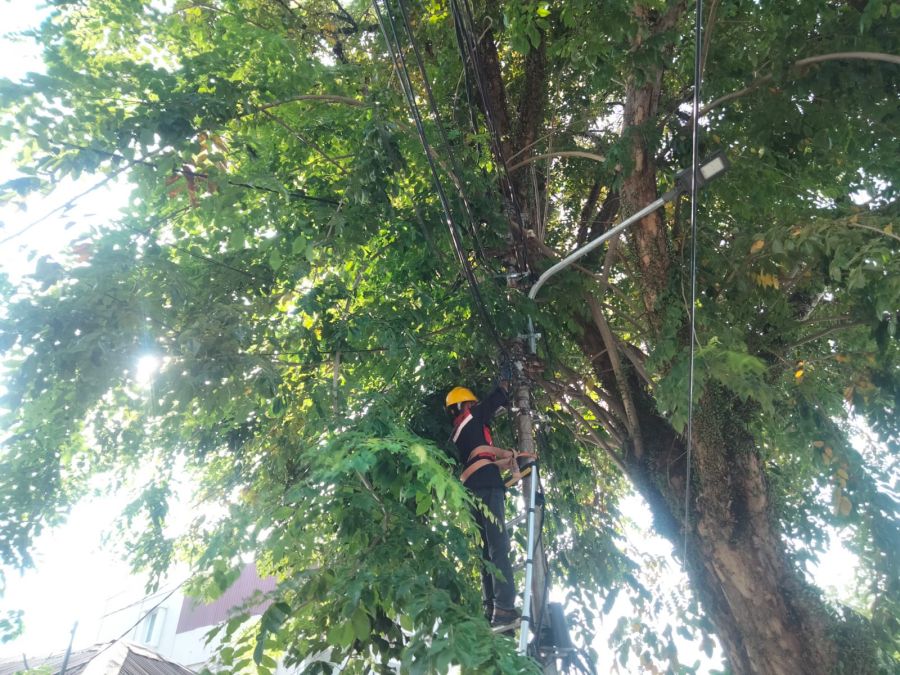 PLN Icon Plus Lakukan Pemeliharaan Jaringan Fiber Optik di Padang