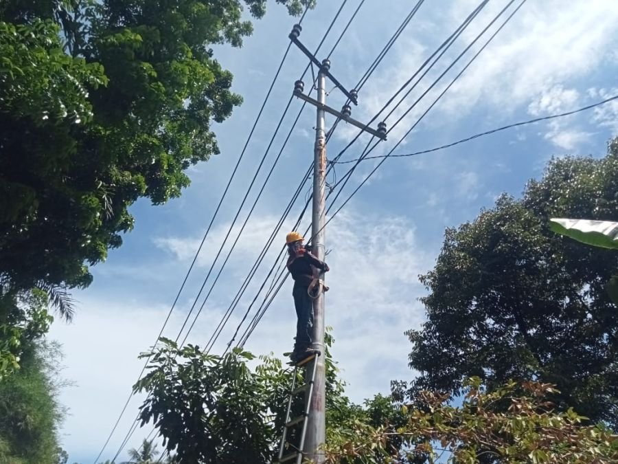 PLN Icon Plus Lakukan Pemeliharaan Jaringan Fiber Optic di Jalur Padang–Painan