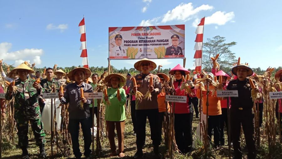 POLDA MALUKU UTARA PANEN RAYA JAGUNG DUKUNG PROGRAM ASTA CITA UNTUK KETAHANAN PANGAN NASIONAL