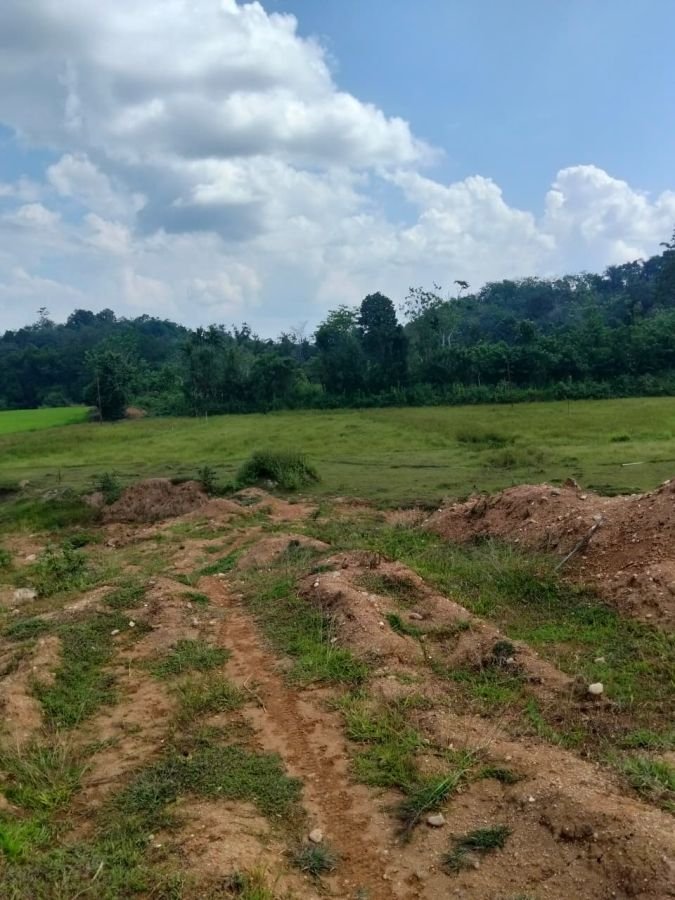 Polda Sumbar Hentikan Kasus Dugaan Penyerobotan Tanah di Kabupaten Sijunjung