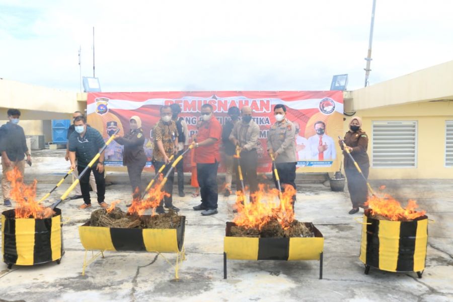 Polda Sumbar Musnahkan Barang Bukti Ganja Kering