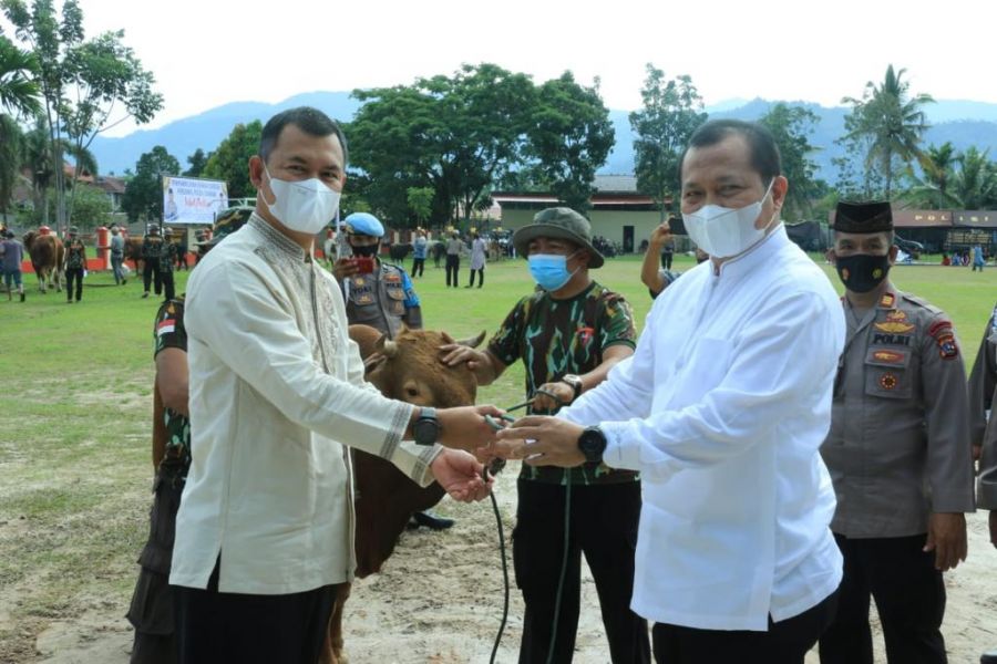 Polda Sumbar Serahkan Satu Ekor Sapi Kurban ke PWI Sumbar