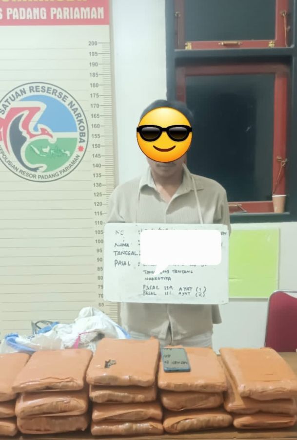 Polres Padang Pariaman Berhasil Tangkap Pelaku Penyalahgunaan Narkotika Jenis Ganja di Batang Anai