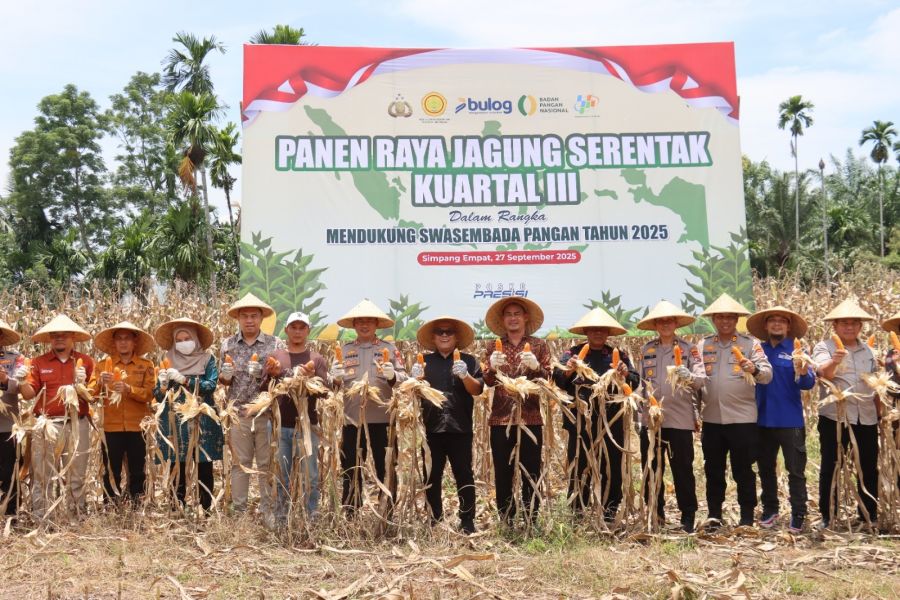 Polres Pasbar Menggelar Panen Raya Jagung Kuartal III Dalam Mendukung Program Swasembada Pangan