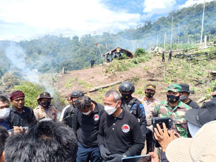 Polri Musnahkan 7 Haktare Ladang Ganja di Gunung Lauser dan Sita 592 Kg Ganja Kering