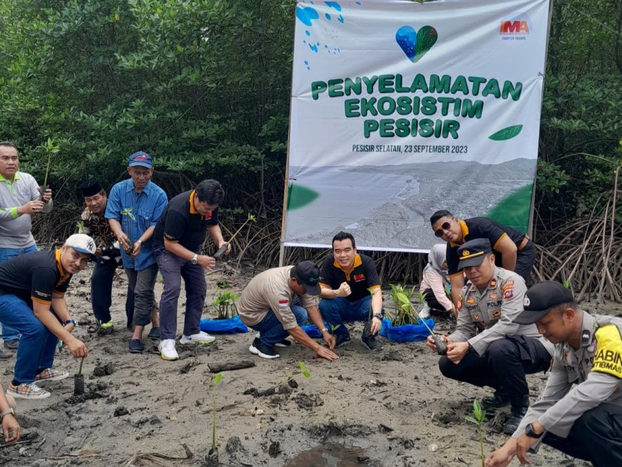 Polsek Koto XI Tarusan, Bersama Manajemen Nyalo Beach Gelar Tanam Bibit Mangrove 2000 Batang
