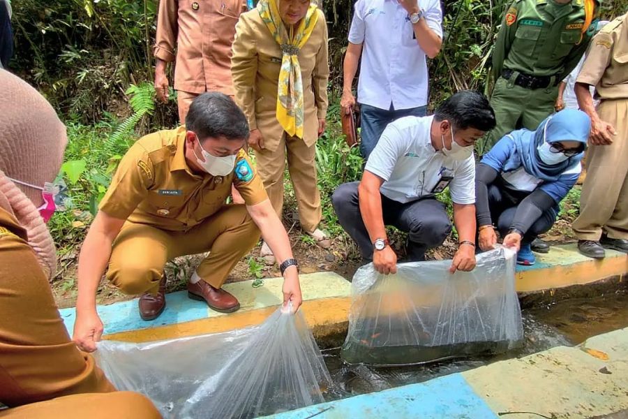 PTBA Ombilin Beri Bantuan Bibit Ikan Nila untuk Desa Rantih