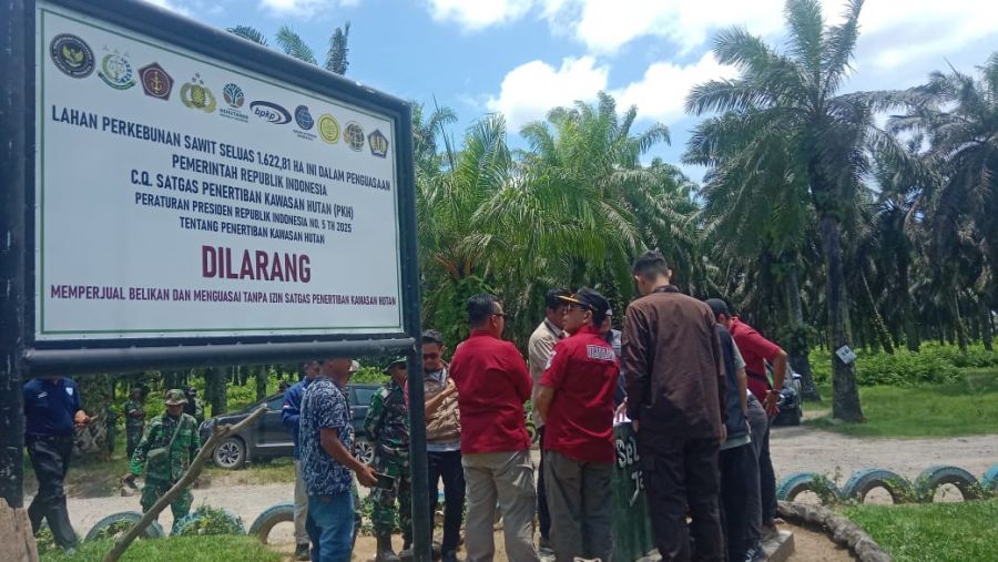 Satgas PKH Tertibkan Kebun Sawit Ilegal di Sumbar
