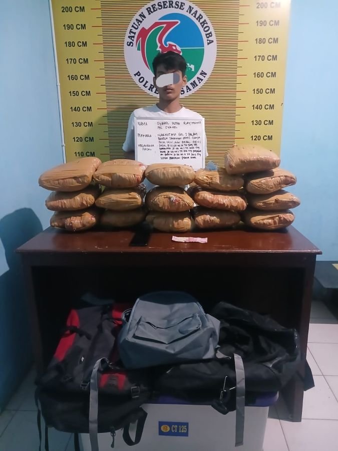 Satresnarkoba Polres Pasaman Tangkap Kurir Ganja, 16 Paket Besar Diamankan