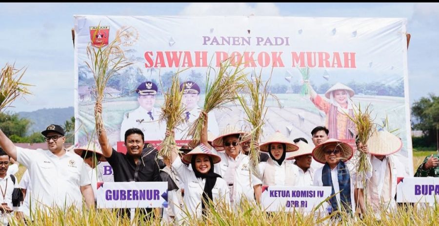 Sumbar Dorong Ketahanan Pangan Lewat Sistem Sawah Pokok Murah
