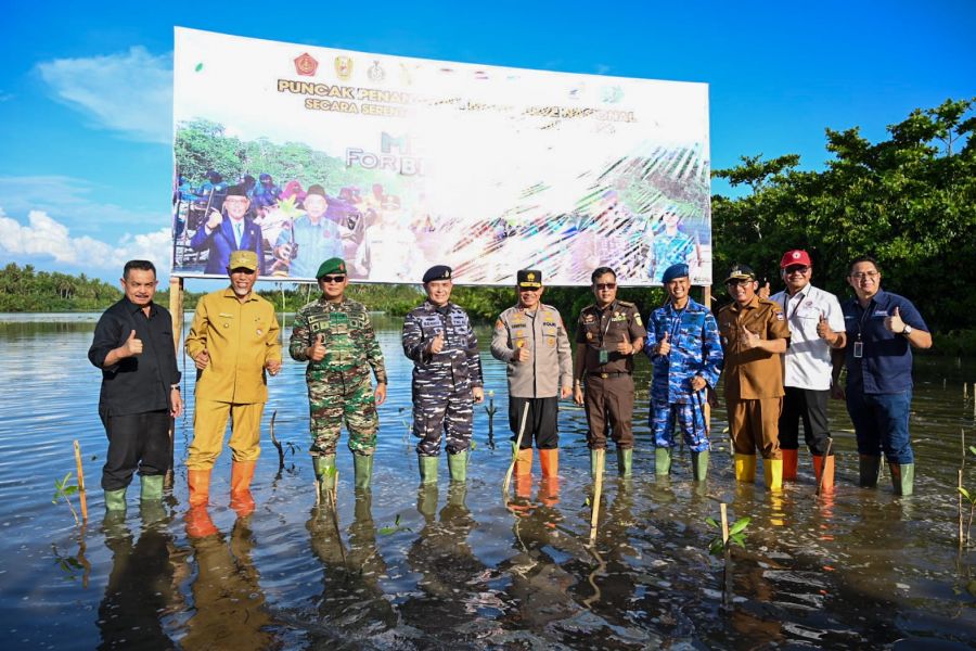 Tanam Mangrove Serentak Seluruh Indonesia, Gubernur Sumbar Minta Semua Pihak Ikut Jaga dan Rawat
