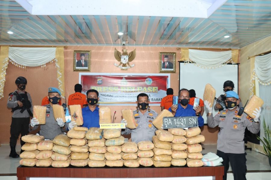 Tangkapan Terbanyak Satresnarkoba Polres Pasbar, 56 Paket Ganja Kering Disita Pada Awal Tahun 2022