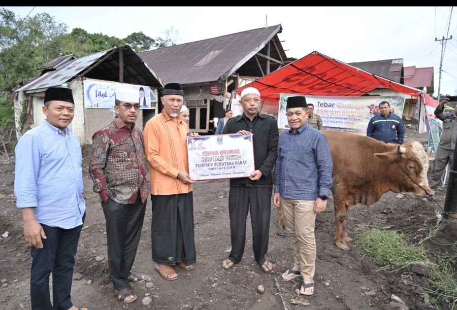Tebar Qurban Pemprov Sumbar Meningkat Tajam, 140 Sapi dan 33 Kambing Disalurkan ke Berbagai Daerah
