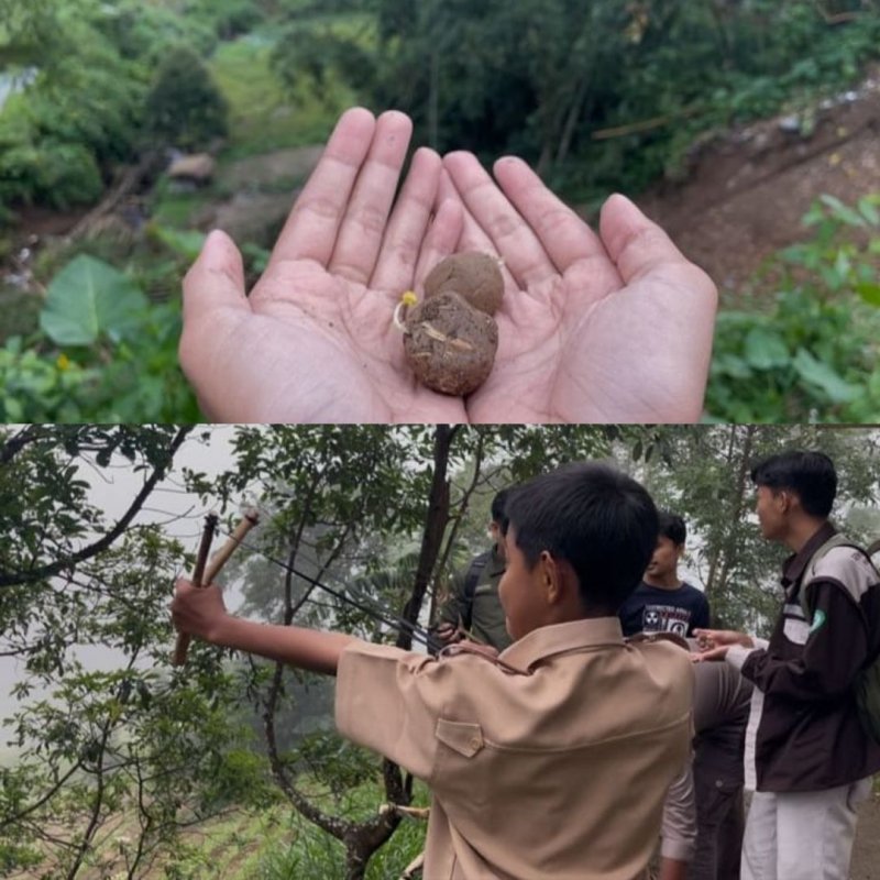 Tim Riset KHS UNP Sebar Bola Benih untuk Pulihkan Hutan Gundul di Kawasan Terdampak Bencana