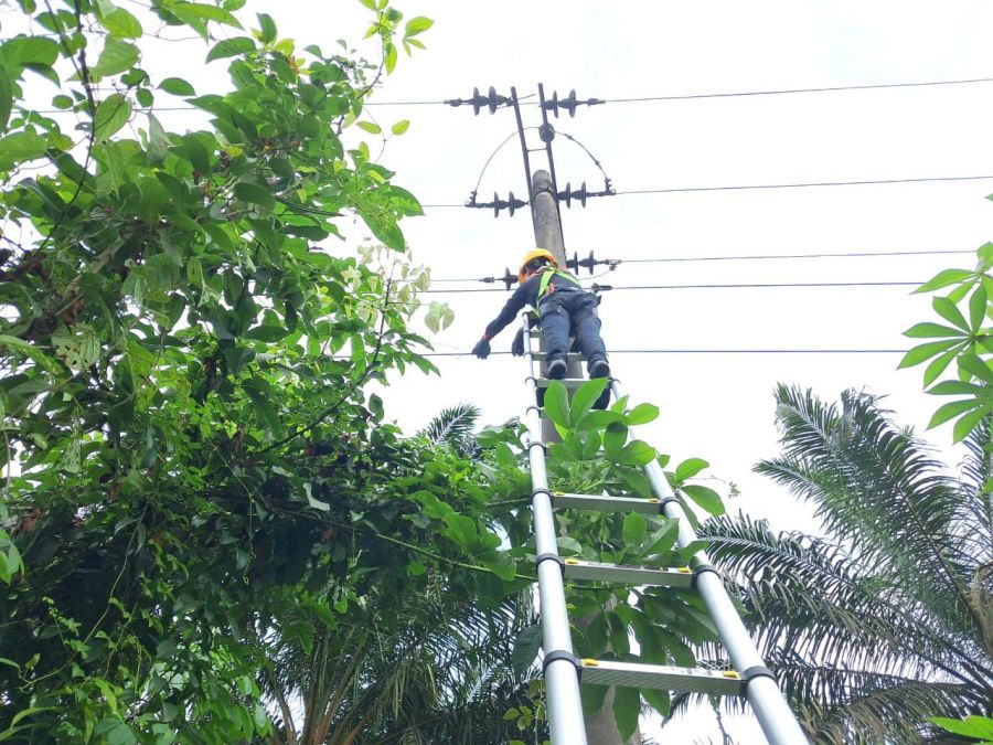 Tingkatkan Kehandalan Jaringan, PLN Icon Plus Lakukan Pemeliharaan Rutin di Jalan Lintas Lipat Kain