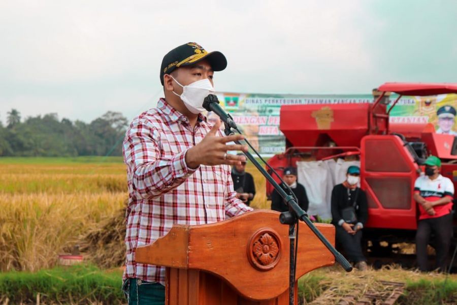 Wagub Audy: Tanah Datar adalah Tulang Punggung Ketahanan Pangan Sumbar