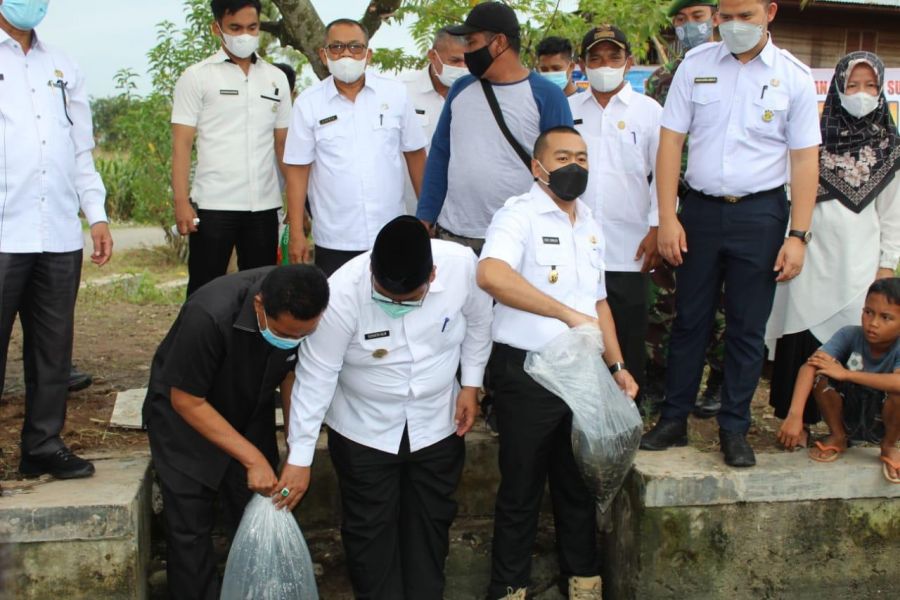 Wagub Audy Tebar 22 Ribu Benih Ikan di Padang Pariaman