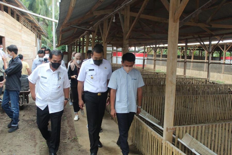 Wagub Sumbar Dorong Mato Aia Jaya Farm Ikut Branding Daerah