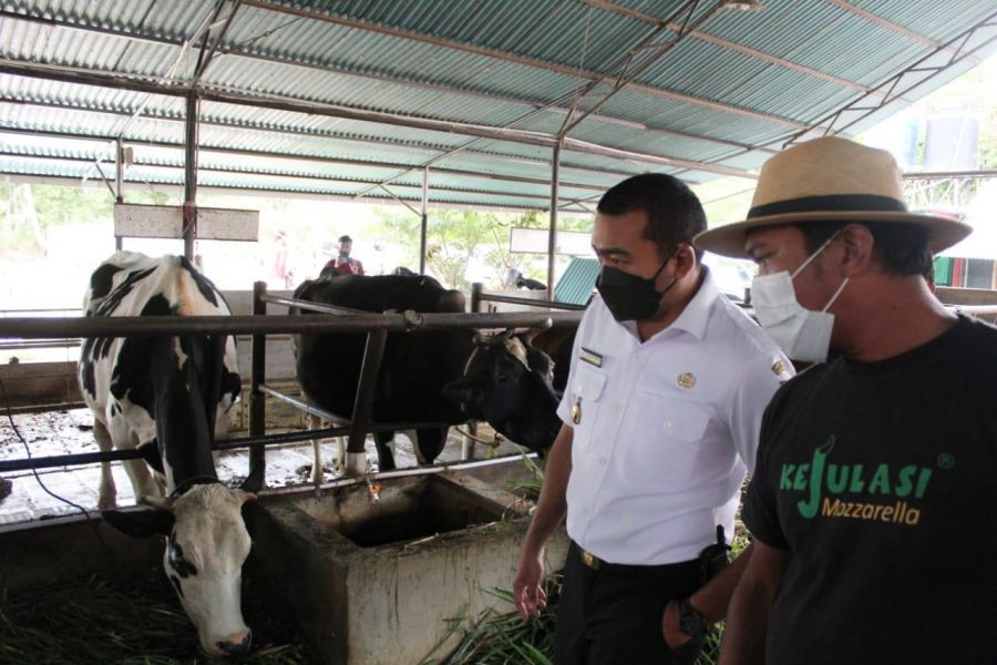 Wagub Sumbar: Usaha Peternakan dan Wisata Edukasi Saling Menunjang