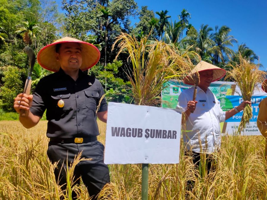 Wujudkan Swasembada Pangan Berkelanjutan, Sumbar Targetkan Produksi Padi 1.5 Juta Ton di 2022 