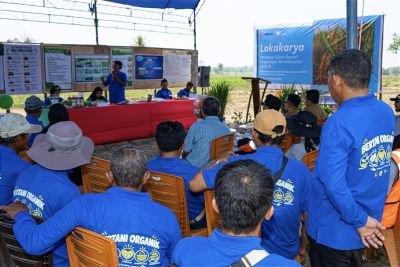 Edukasi Binaan Demi Keberlanjutan Lingkungan yang Harmonis