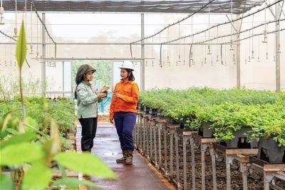 Edukasi Keberlanjutan Nursery dan Pomala